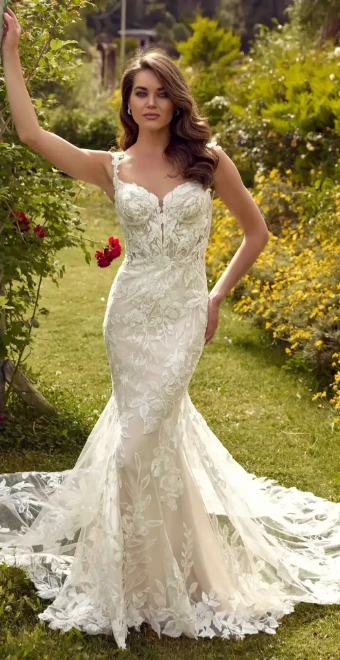 Eddy K Arizona #0 thumbnail